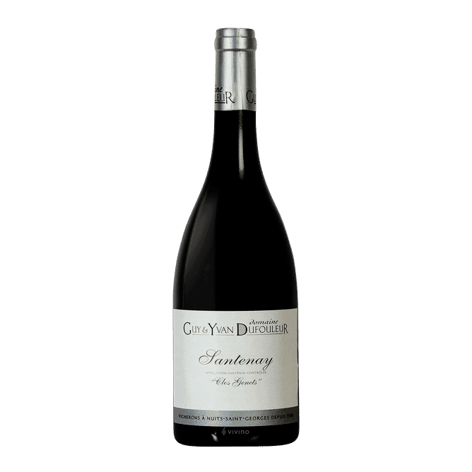 Domanie Guy & Yvan Dufouleur Domanie Guy & Yvan Dufouleur Santenay Rouge "Clos Genets 2022