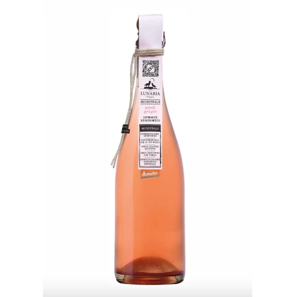 Ancestrale PET NAT Brut Nature, 2024