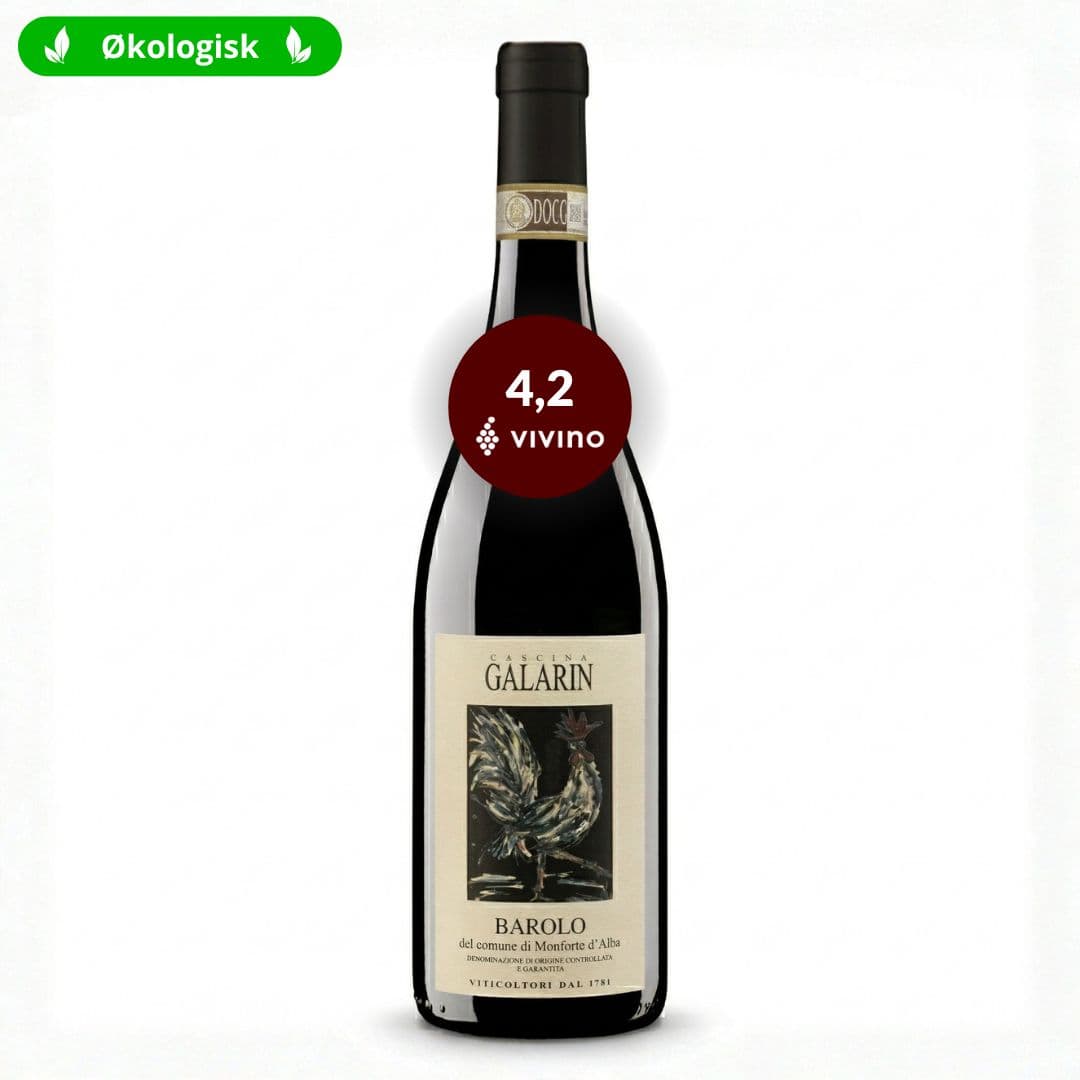 Cascina Galarin Barolo 2022, Piemonte, Italien (Økologisk)