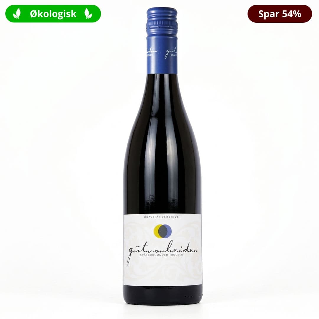 Gut von Beiden Spätburgunder 2024 - Økologisk Pinot Noir, Pfalz, Tyskland